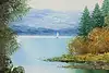 Thumbnail image 9