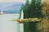 Thumbnail image 8