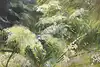 Thumbnail image 6