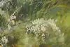 Thumbnail image 8