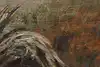Thumbnail image 9