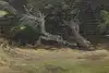 Thumbnail image 6