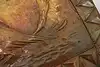 Thumbnail image 10
