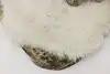 Thumbnail image 10
