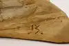 item thumbnail 9