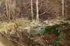 Thumbnail image 9