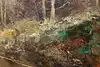 Thumbnail image 8