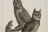 Thumbnail image 1