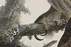 Thumbnail image 6