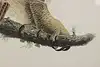 Thumbnail image 8