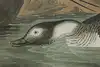 Thumbnail image 8