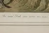 Thumbnail image 10