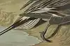 Thumbnail image 8