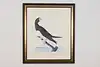 Thumbnail image 1