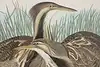 Thumbnail image 7