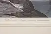 Thumbnail image 10