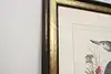 Thumbnail image 12