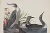 Thumbnail image 1