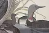 Thumbnail image 8