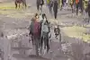Thumbnail image 8