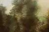 Thumbnail image 8