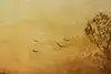 Thumbnail image 9