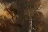 Thumbnail image 8