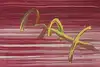 Thumbnail image 5