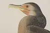 Thumbnail image 8