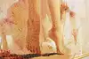 Thumbnail image 8