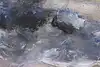 Thumbnail image 8