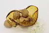 Thumbnail image 1