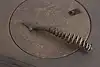 Thumbnail image 21