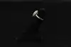 Thumbnail image 1