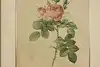 Thumbnail image 1