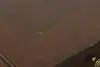 Thumbnail image 19