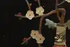 Thumbnail image 8