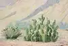 Thumbnail image 7