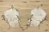 Thumbnail image 4