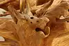 Thumbnail image 24