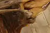 Thumbnail image 31