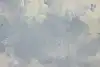 Thumbnail image 13
