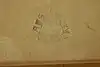 Thumbnail image 15