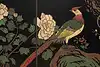 Thumbnail image 22