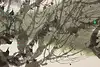 Thumbnail image 10