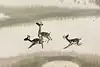Thumbnail image 7