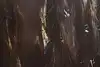 Thumbnail image 9