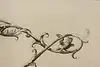 Thumbnail image 8