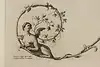 Thumbnail image 6