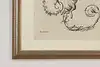 Thumbnail image 5